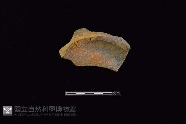 陶片藏品圖，第1張