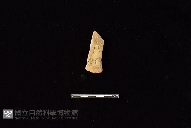 陶片藏品圖，第1張