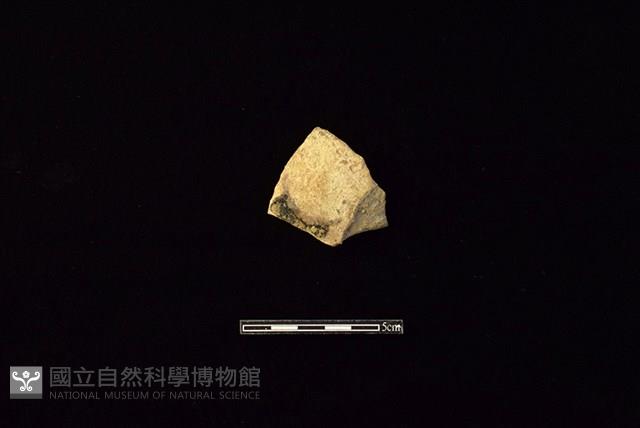 陶片藏品圖，第1張