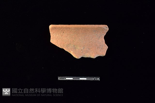 陶罐藏品圖，第1張