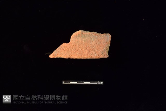 陶罐藏品圖，第1張