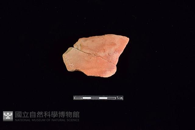 連杯形器藏品圖，第1張