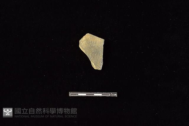 陶片藏品圖，第1張