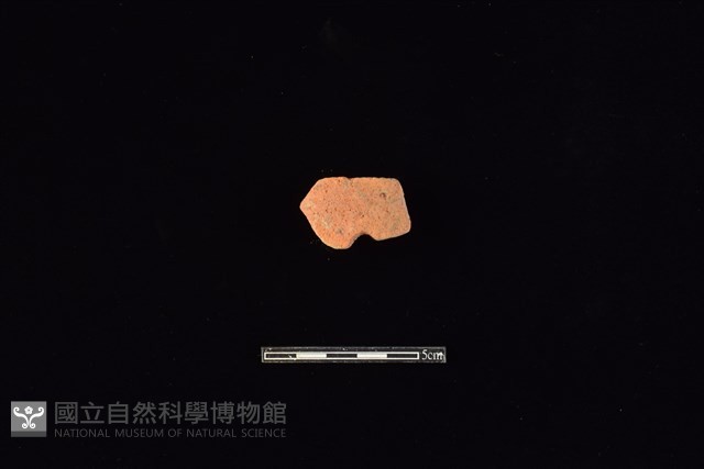 陶片藏品圖，第1張
