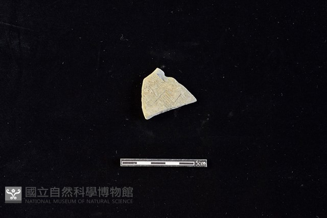 陶片藏品圖，第1張