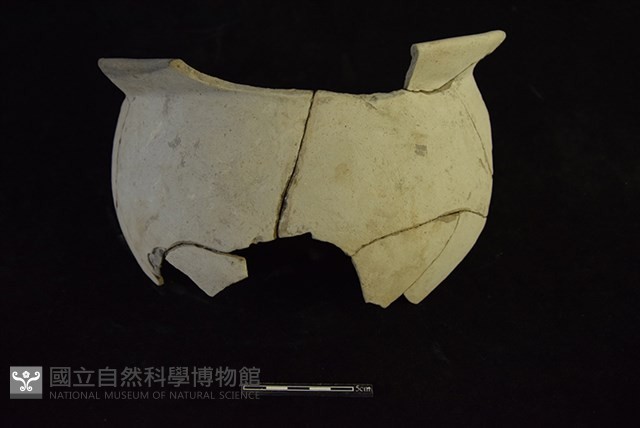 陶罐藏品圖，第1張