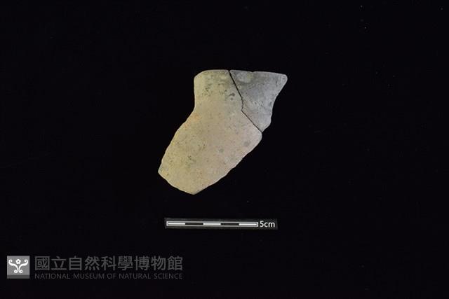 陶片藏品圖，第1張