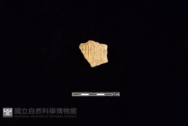 陶片藏品圖，第1張