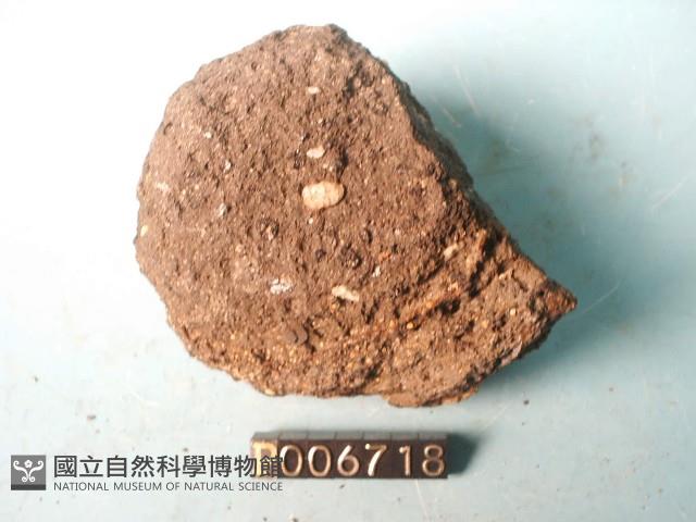 輝石安山岩藏品圖，第3張
