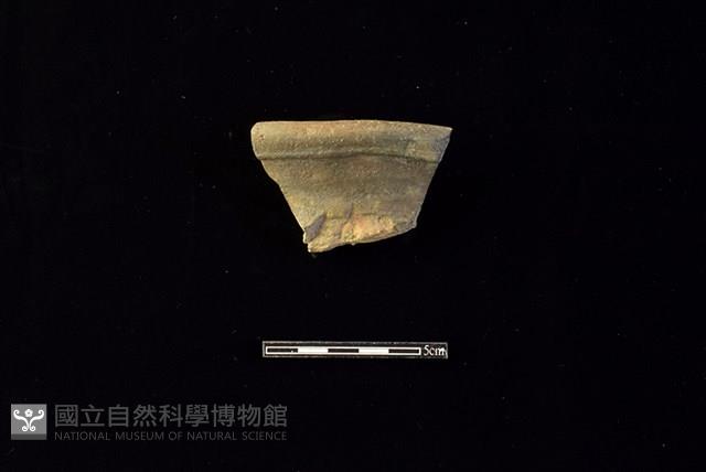 陶罐藏品圖，第1張