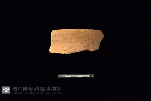 陶罐藏品圖，第1張