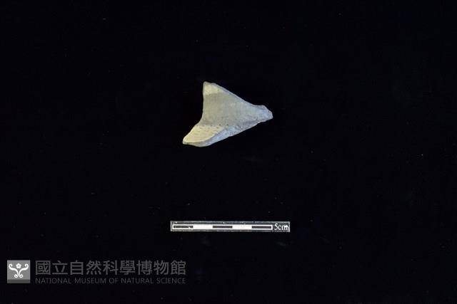 陶片藏品圖，第1張