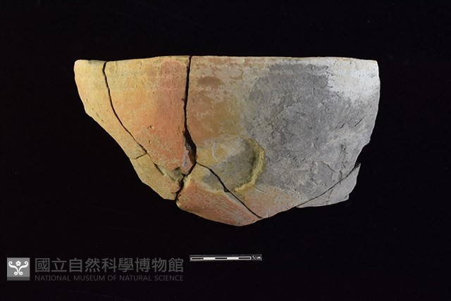 陶盆藏品圖，第1張