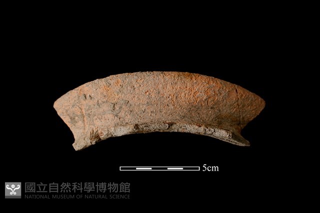 陶罐藏品圖，第1張