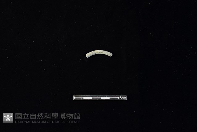 陶環藏品圖，第1張