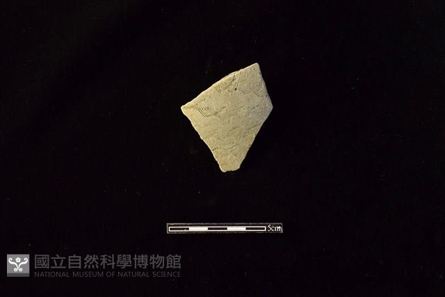 陶片藏品圖，第1張