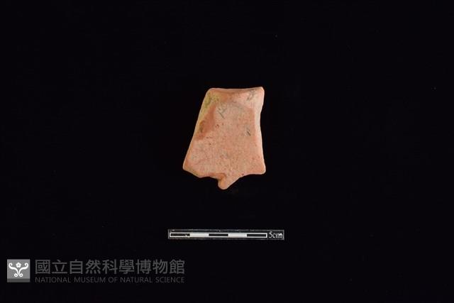 連杯形器藏品圖，第1張