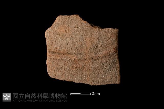 陶片藏品圖，第1張