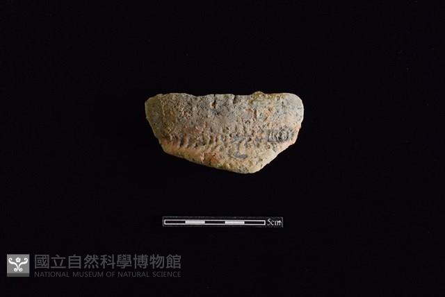 陶罐藏品圖，第1張