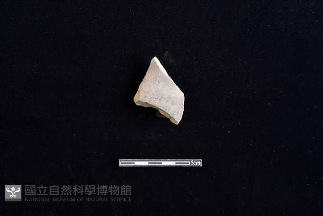 陶罐藏品圖，第1張