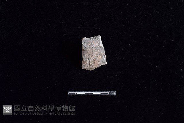 陶罐藏品圖，第1張