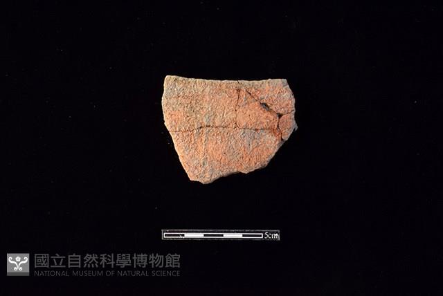 陶片藏品圖，第1張