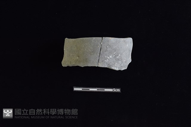 陶罐藏品圖，第1張
