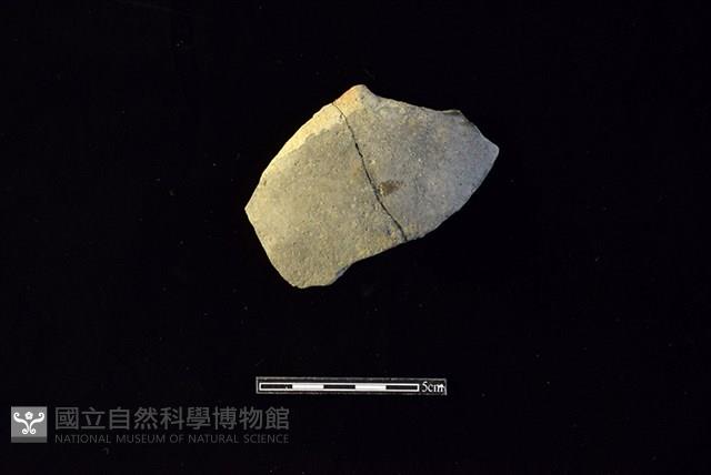 陶片藏品圖，第1張