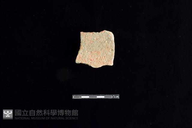 陶片藏品圖，第1張