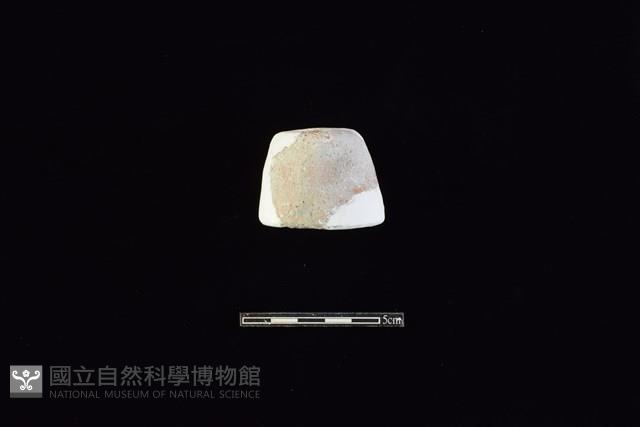 紡輪藏品圖，第1張