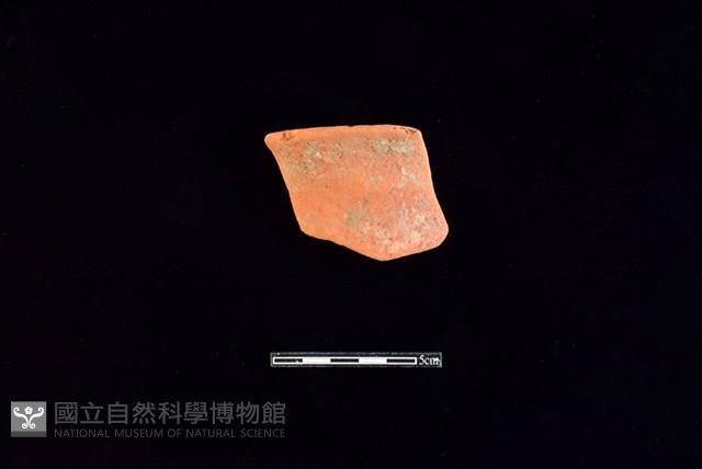 連杯形器藏品圖，第1張