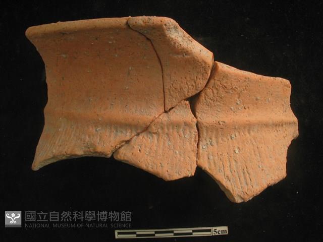 陶罐藏品圖，第1張