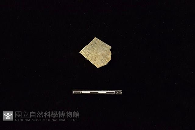 陶片藏品圖，第1張