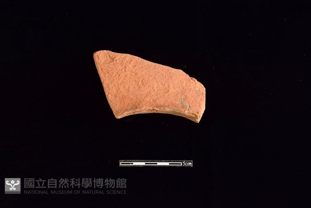 連杯形器藏品圖，第1張