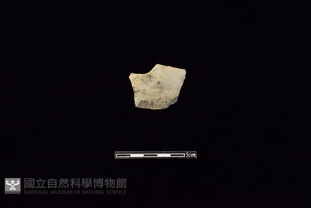 陶片藏品圖，第1張