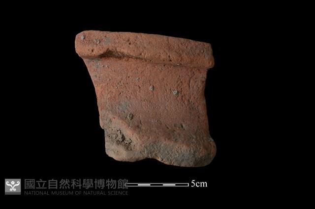 陶罐藏品圖，第1張