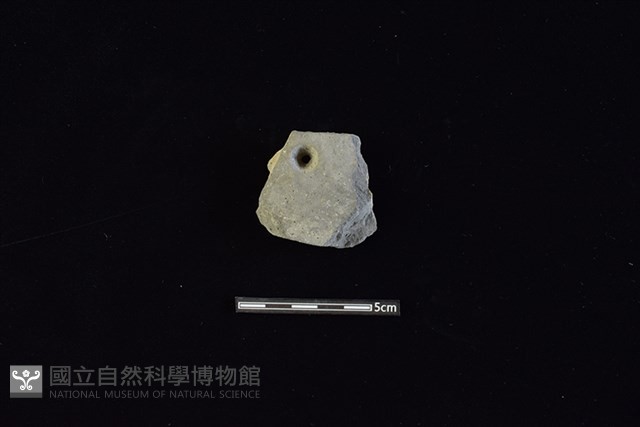 陶片藏品圖，第1張