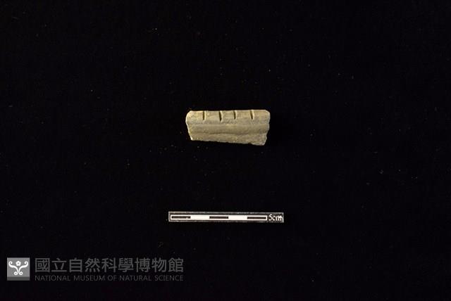 陶罐藏品圖，第1張