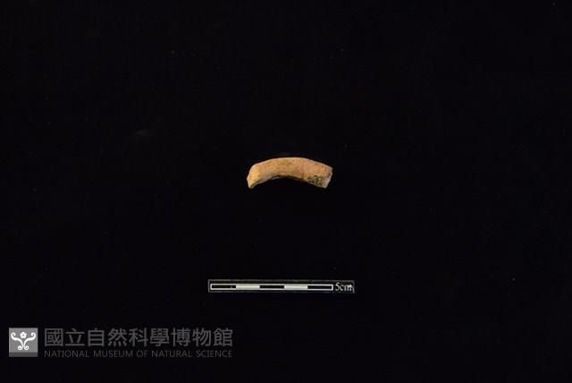 陶把藏品圖，第1張