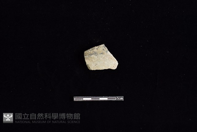 陶片藏品圖，第1張
