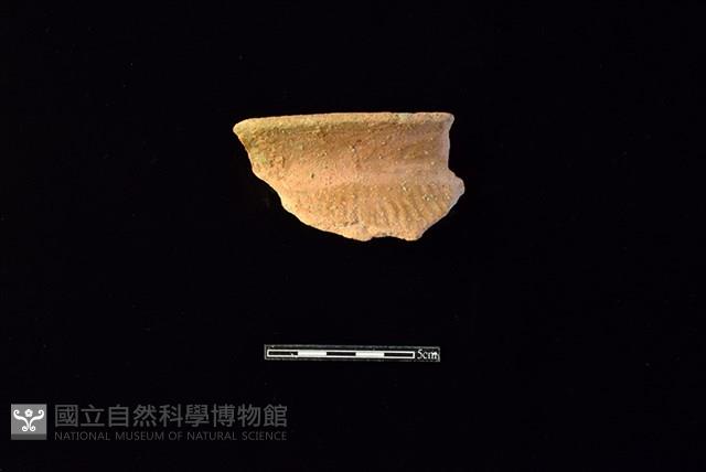 陶罐藏品圖，第1張