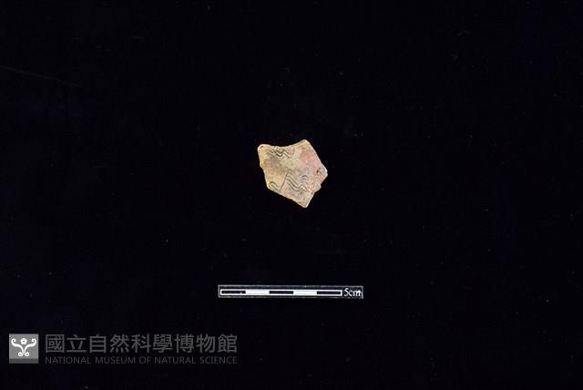 陶片藏品圖，第1張