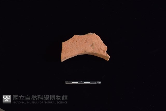 連杯形器藏品圖，第1張