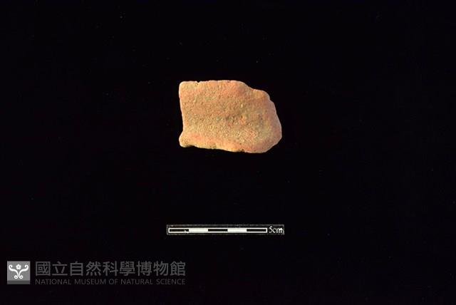 陶罐藏品圖，第1張