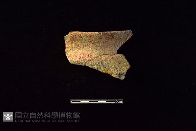 陶罐藏品圖，第1張