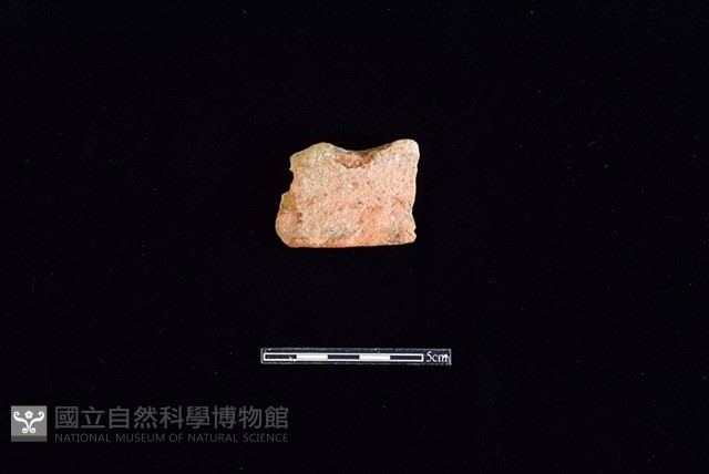 陶片藏品圖，第1張