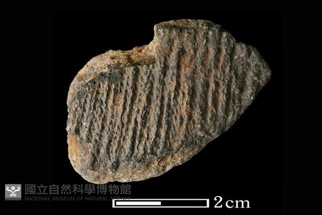 陶片藏品圖，第1張