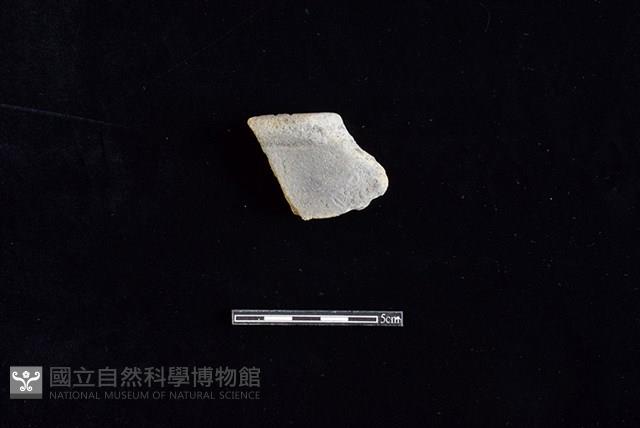 陶罐藏品圖，第1張