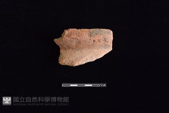 陶罐藏品圖，第1張