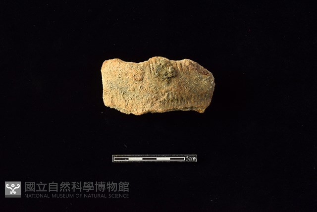 陶罐藏品圖，第1張